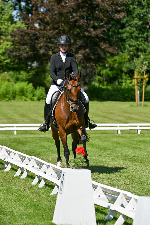  | 13062025 Dressur _0979 