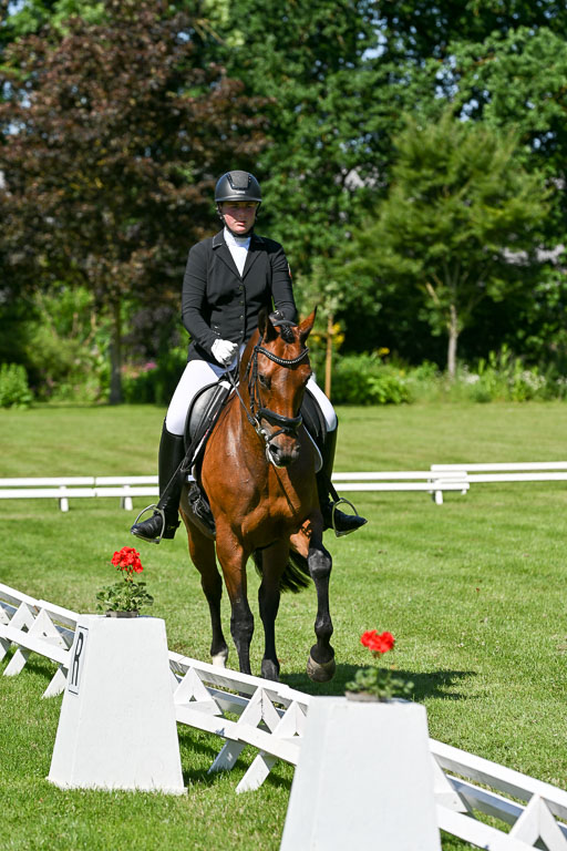  | 13062025 Dressur _0980 