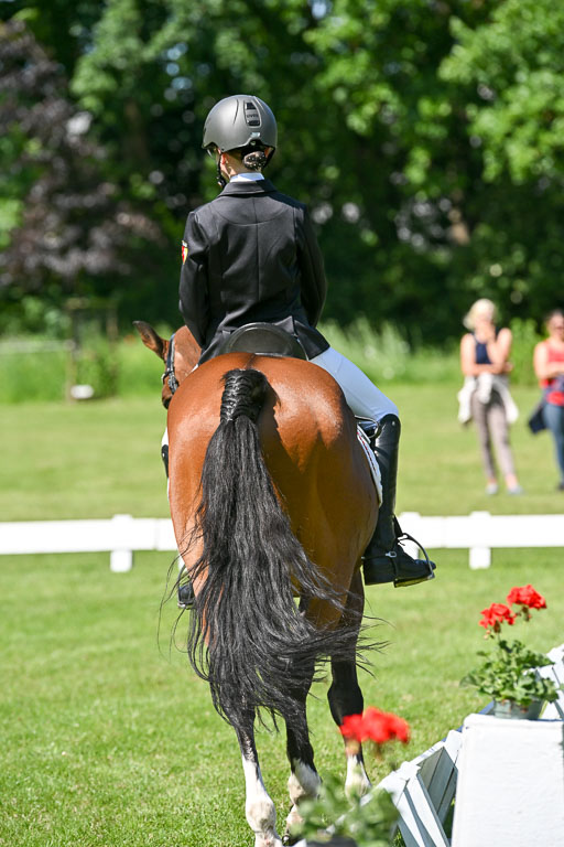  | 13062025 Dressur _0982 