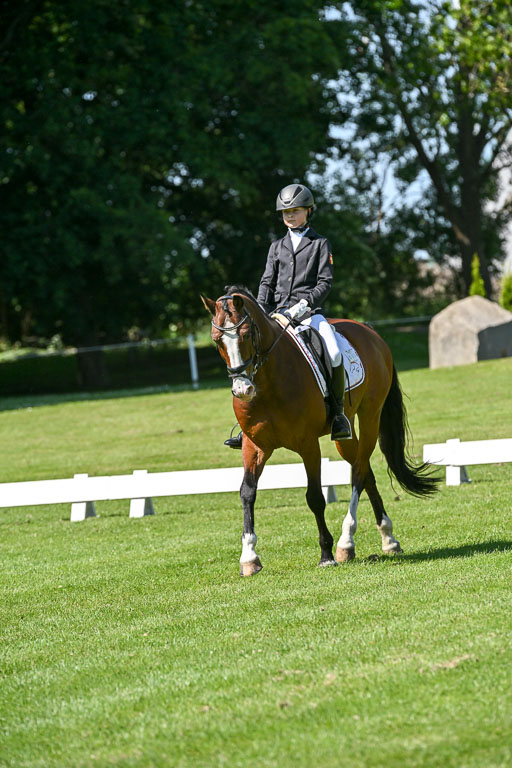  | 13062025 Dressur _0984 