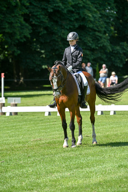  | 13062025 Dressur _0985 