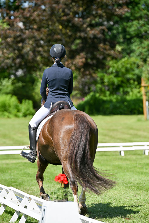  | 13062025 Dressur _0996 