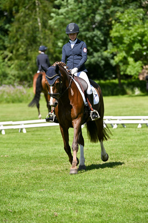  | 13062025 Dressur _0999 