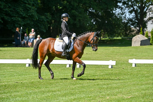  | 13062025 Dressur _1002 