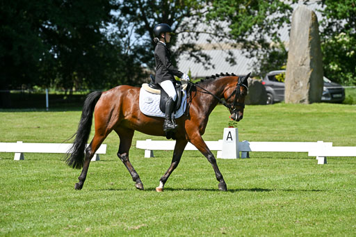  | 13062025 Dressur _1003 