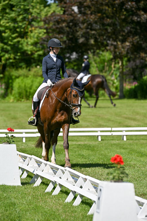  | 13062025 Dressur _1004 