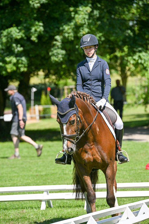  | 13062025 Dressur _1005 