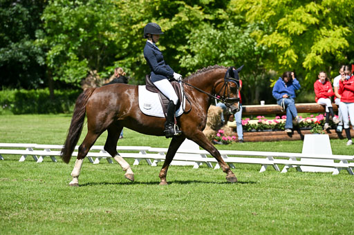  | 13062025 Dressur _1007 