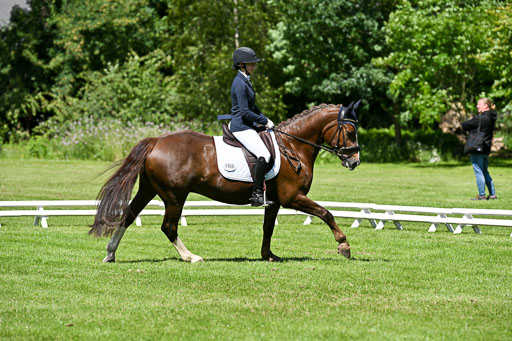  | 13062025 Dressur _1008 