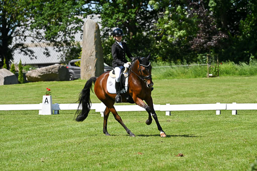  | 13062025 Dressur _1011 