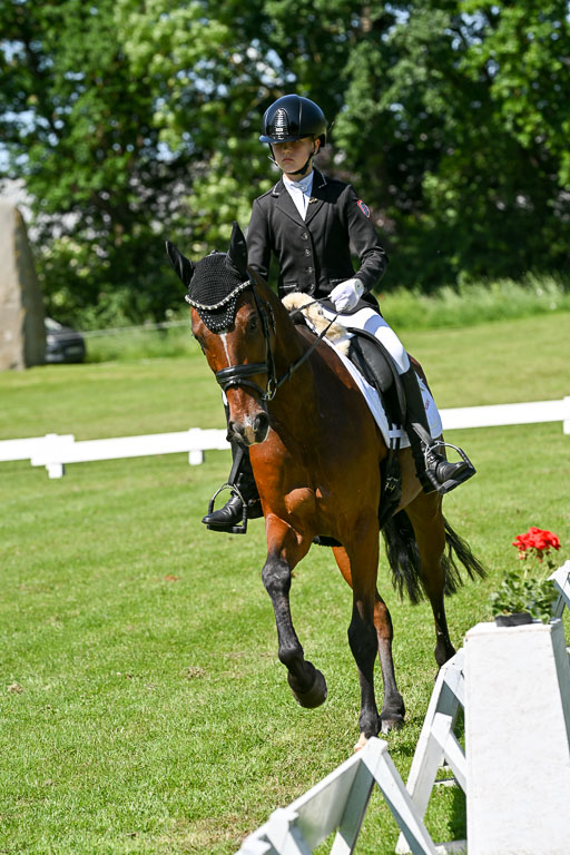  | 13062025 Dressur _1014 