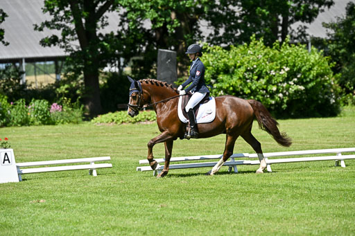  | 13062025 Dressur _1016 