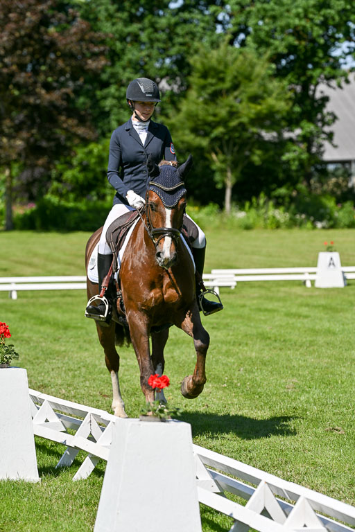  | 13062025 Dressur _1018 