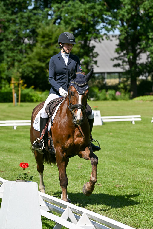  | 13062025 Dressur _1019 