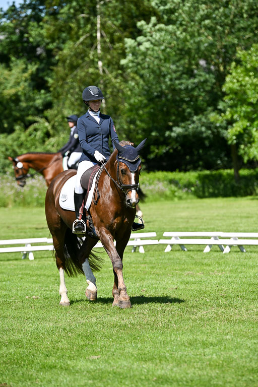  | 13062025 Dressur _1023 