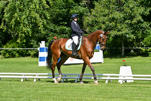  | 13062025 Dressur _1040 