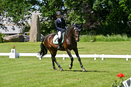  | 13062025 Dressur _1046 