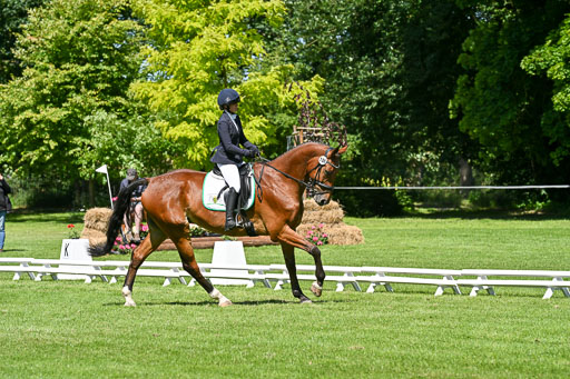  | 13062025 Dressur _1048 