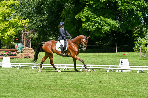  | 13062025 Dressur _1049 