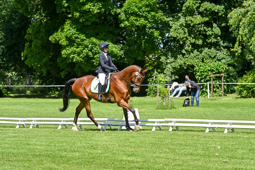  | 13062025 Dressur _1050 