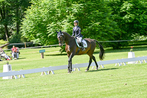  | 13062025 Dressur _1053 