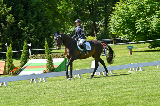  | 13062025 Dressur _1054 