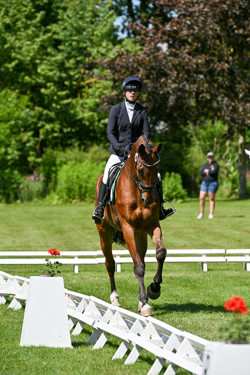  | 13062025 Dressur _1056 