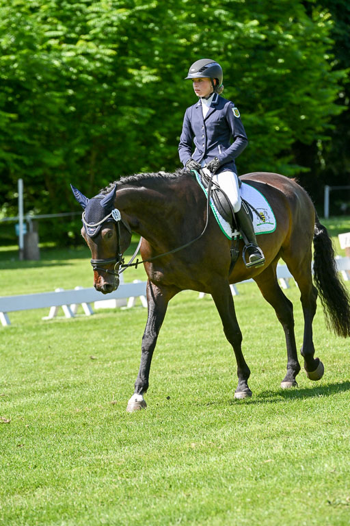  | 13062025 Dressur _1059 