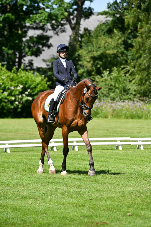  | 13062025 Dressur _1060 