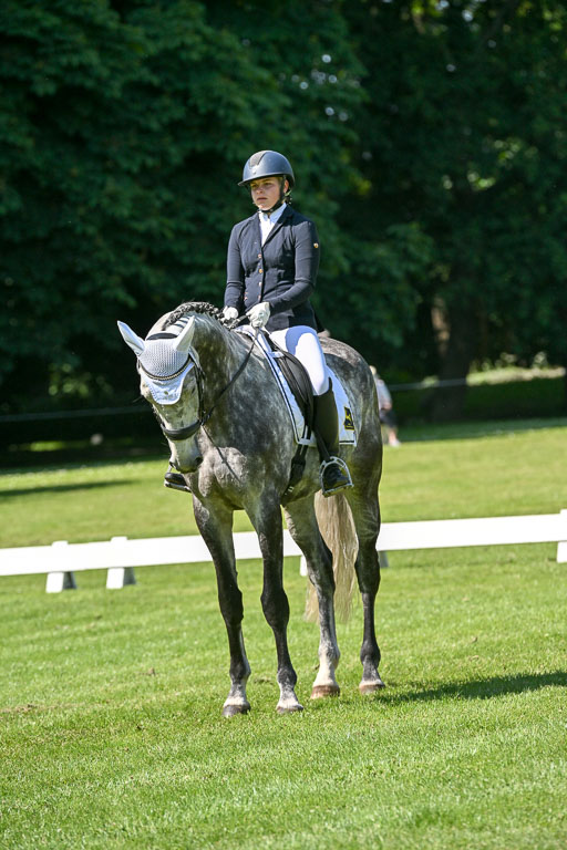  | 13062025 Dressur _1066 