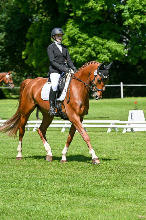  | 13062025 Dressur _1069 