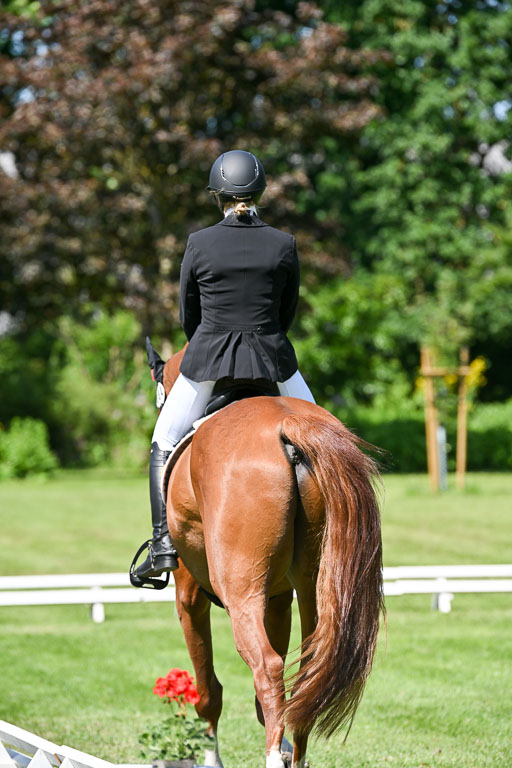  | 13062025 Dressur _1070 