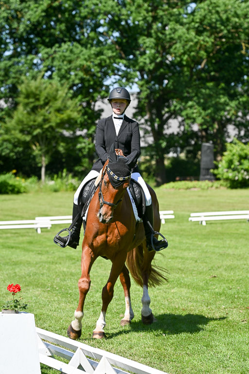  | 13062025 Dressur _1076 