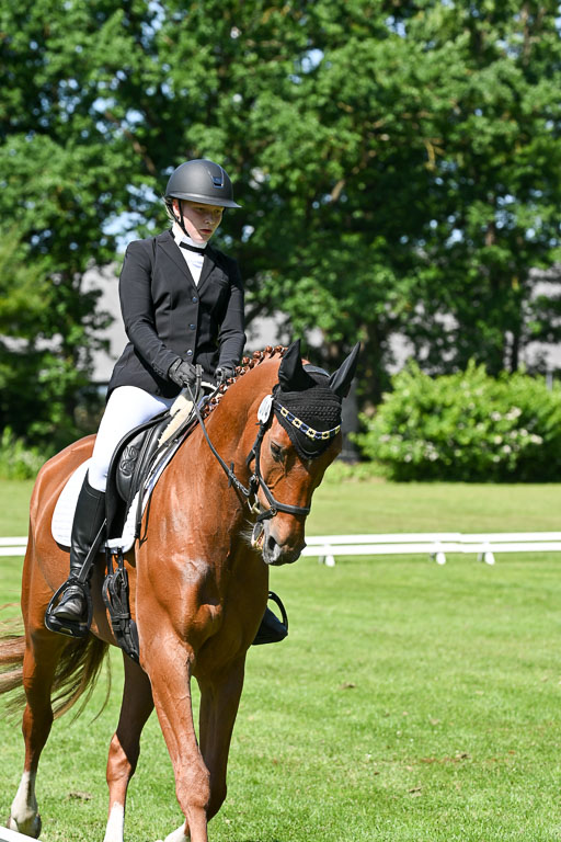  | 13062025 Dressur _1077 