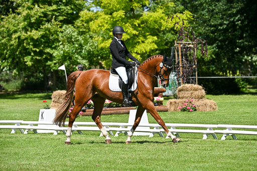  | 13062025 Dressur _1081 