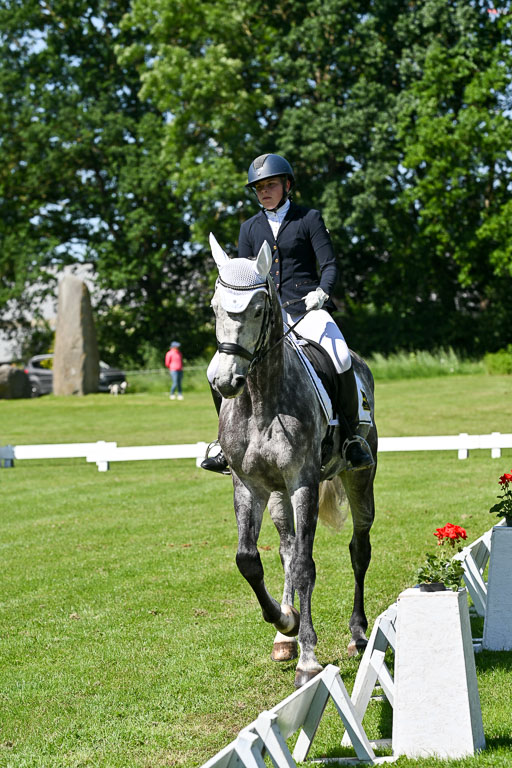  | 13062025 Dressur _1083 