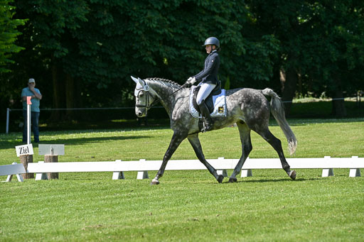  | 13062025 Dressur _1086 