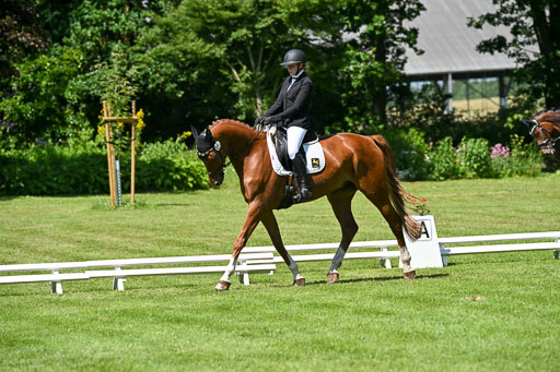  | 13062025 Dressur _1087 