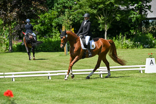 | 13062025 Dressur _1089 