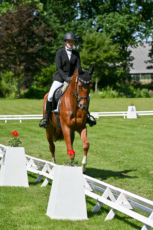  | 13062025 Dressur _1092 