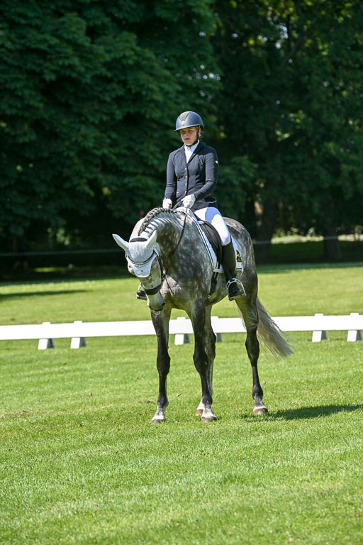  | 13062025 Dressur _1094 