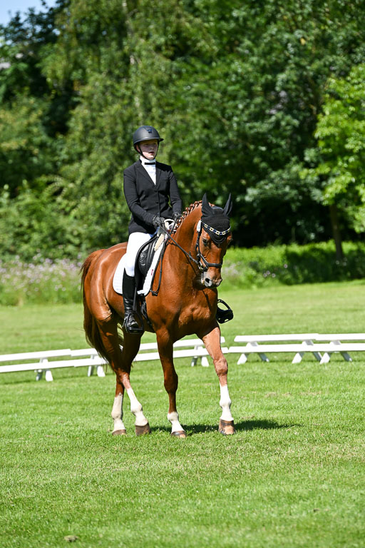  | 13062025 Dressur _1095 