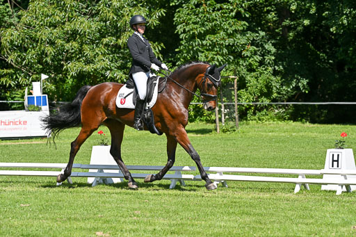  | 13062025 Dressur _1099 