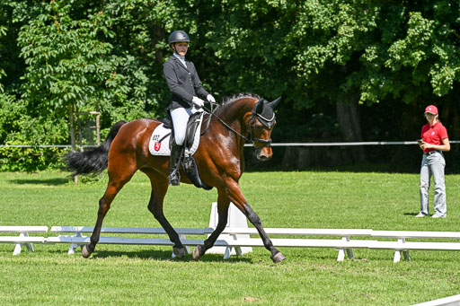  | 13062025 Dressur _1100 