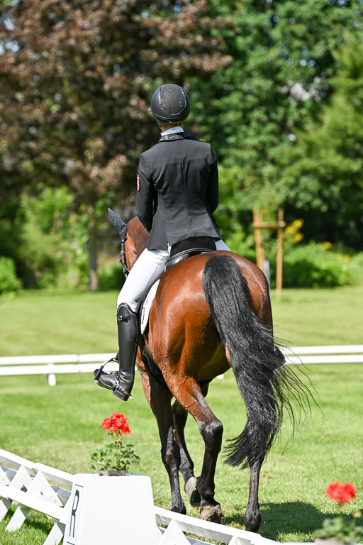  | 13062025 Dressur _1101 