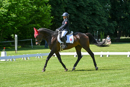  | 13062025 Dressur _1102 