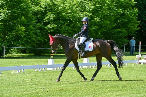  | 13062025 Dressur _1103 