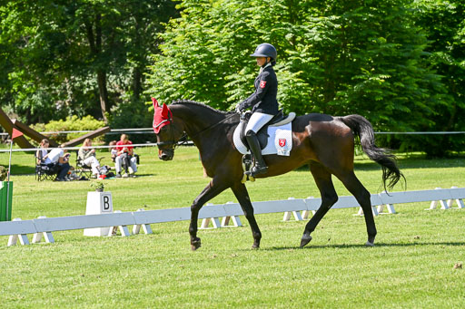  | 13062025 Dressur _1107 