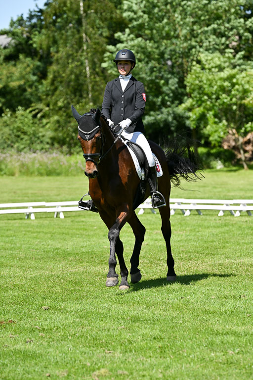  | 13062025 Dressur _1110 