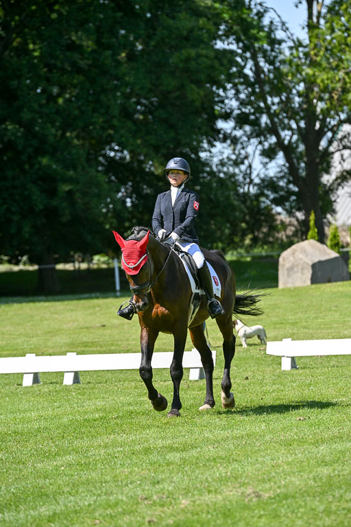  | 13062025 Dressur _1112 